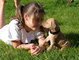 Gratis rhodesian ridgeback cachorros lista - Foto 1