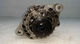 Alternador 3540460 63321859 alfa romeo