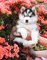 Los perritos del husky siberiano de Navidad listos para ir - Foto 1