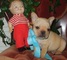 Lindo Macho y Hembra Cachorros Bulldog Frances - Foto 1