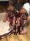 Dachshund Puppies - Foto 1