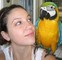 Gratis Hablar pájaros de Macaw azul y oro para casas nuevas - Foto 1