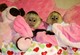 Monos capuchinos lindos para la adopción - apenas en el momento d