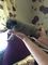 Impresionante camada de Pug leonado 3 cachorros Kc Reg - Foto 1