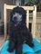 Impresionantes cachorros Silver Standard Poodle - Foto 1