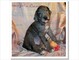 Beautiful Male Great Dane pups - Foto 1