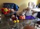 Cachorros Bichon Frise disponibles - Foto 1