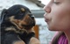 Cachorros rottweiler criados por la familia disponibles para adop