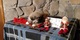 Pekingese cachorros listo para la adopción - Foto 1