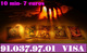 Tarot barato Emperatriz 91-037-97-01. Expertos tarotistas - Foto 1