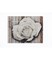 Cuadro flor 76 €