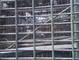 Los loros grises africanos criados a mano y la jaula a estre - Foto 3