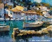 Mallorca oil paintings directly from the artist