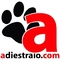 Adiestramiento de perros en Madrid - Foto 1