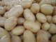 Patatas de calidad - Foto 1