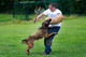 Adiestramiento Canino - Foto 3