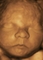 Ecografia materno fetal 4d a domicilio