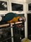 Macaw azul y oro disponible - Foto 1