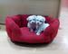 Cachorros super adorable teacup maltese