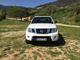 Nissan navara dpf lb le