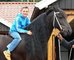 Regalo regalo caballos castrado frison para su adopcion
