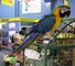 Acompañamiento de loros del macaw del azul y del oro