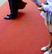 Alfombras / moquetas para eventos como bodas, desfiles, ferias