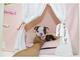 Gratis boston terrier perritos listo