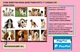 Manual de educación, adiestramiento y salud canina