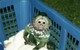 Monos capuchinos bebé para el hogar - Foto 1