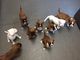 Regalo regalo boxer cachorros