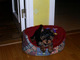 Gratis -Beautiful Yorkie Pups Para la venta - Foto 1