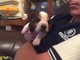 Gratis Pedigree Basset Hound Puppies - Foto 1