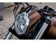 Harley-Davidson Custom Bike - Foto 7