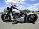 Harley-Davidson Heritage Softail FLSTC FLSTF - Foto 6