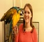Regalo loros guacamayo hablando y d