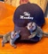 Bien socializados monos marmoset para nuevos hogares