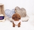 Ternura Mini juguete del perrito caniches 001,.,., - Foto 1