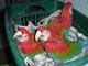 Babies loro guacamayo por 200 € - Foto 1