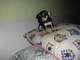 Regalo camada de Chihuahua toy - Foto 1