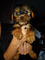 Regalo Yorkie cachorros para adopción - Foto 1