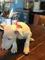 Regalo dulce cachorros bull terrier para adopcion - Foto 1