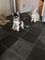 3 cachorros huskies en adopcion - Foto 1