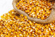 Porductos de ucrania: aceite de girasol, maíz, soja, trigo