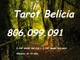 24h 806.099.091 belicia oferta tarot 0,42€ tarot amor 0,42€