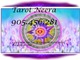 905 oferta tarot 905.456.281 tarot sin gabinete Neera tarot rápid - Foto 1