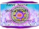 905 oferta tarot 905.456.281 tarot sin gabinete neera tarot rápid