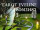 Eveline 0,42€ r.f.. tarot barato eveline 806, tarot barato 806.13