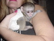Monos capuchinos socializados bien.