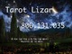 Lizar tarot oferta 806.131.035 tarot amor 0,42€ r.f. tarot 806 - Foto 1